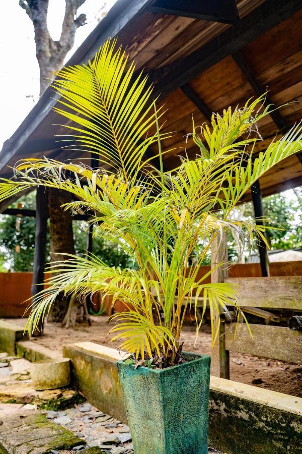 Nature'S Cradle Obosomase 外观 照片
